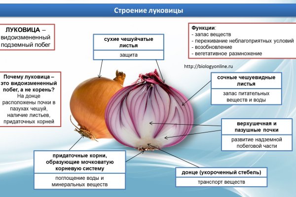 Как написать администрации даркнета кракен