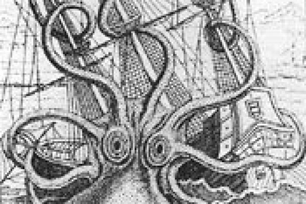 Kraken ссылка tor