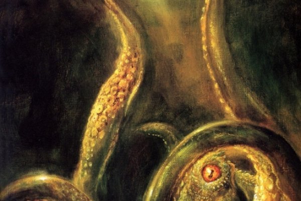 Kraken 7 org