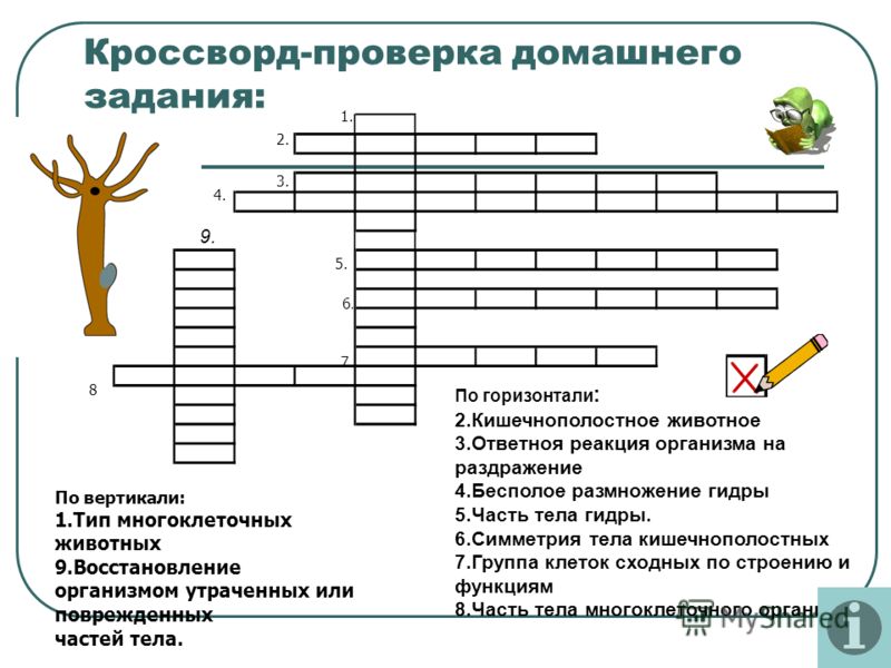 Кракен 17 рабочая ссылка